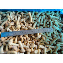 IQF Nameko Frozen Mushroom